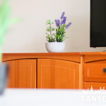 סן סבסטיאן Apartamento Colon By Sanse Holidays מראה חיצוני תמונה