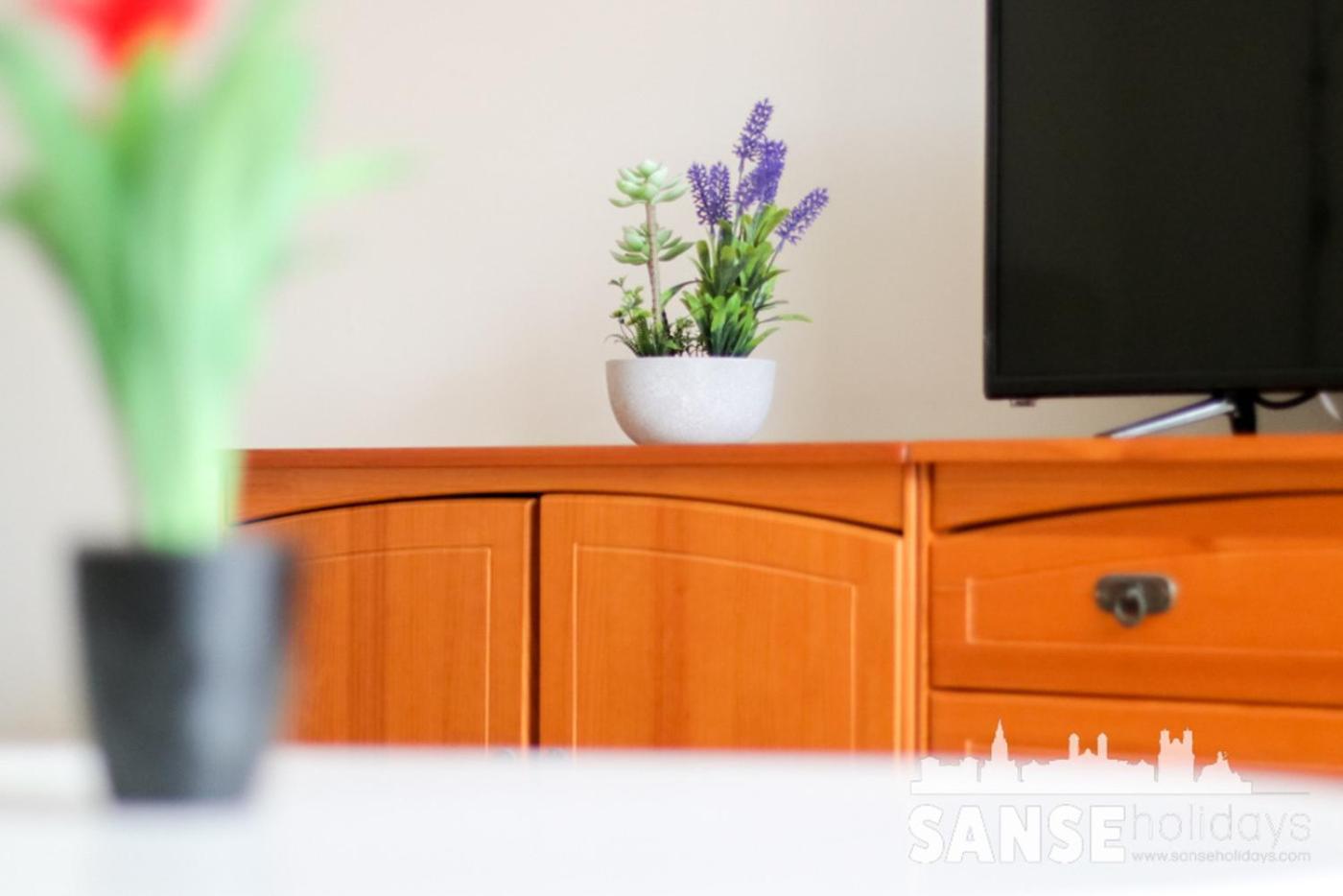 סן סבסטיאן Apartamento Colon By Sanse Holidays מראה חיצוני תמונה